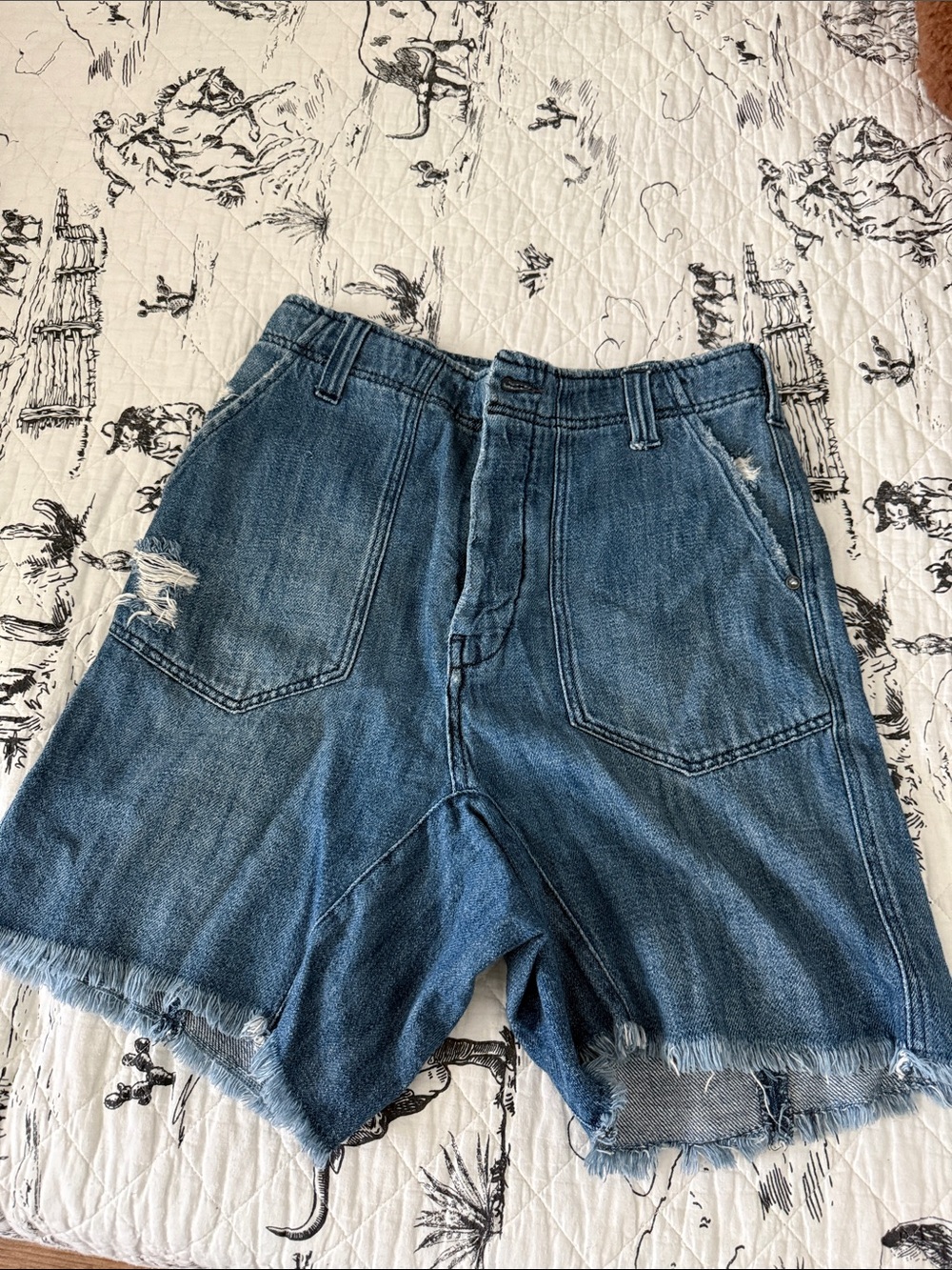 We The Free Blue Denim Shorts